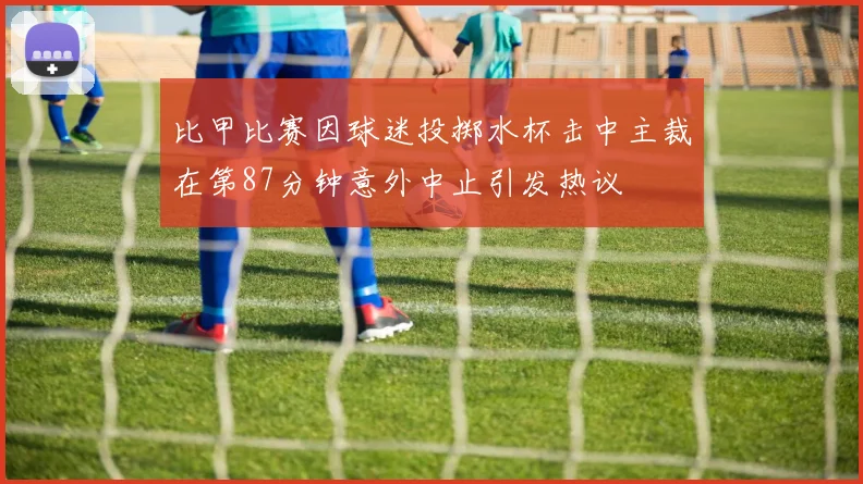 比甲比赛因球迷投掷水杯击中主裁在第87分钟意外中止引发热议