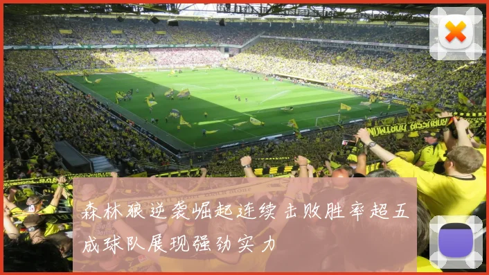 森林狼逆袭崛起连续击败胜率超五成球队展现强劲实力
