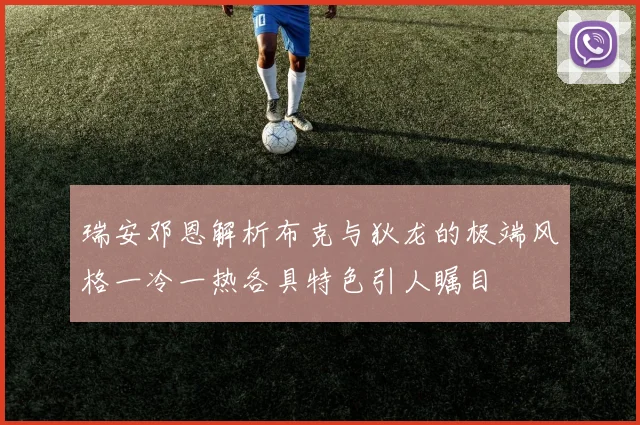 瑞安邓恩解析布克与狄龙的极端风格一冷一热各具特色引人瞩目