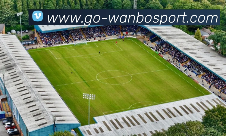 万博体育APP 封面图