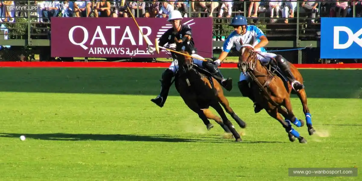 🎮限量周边，收藏首选！🎁